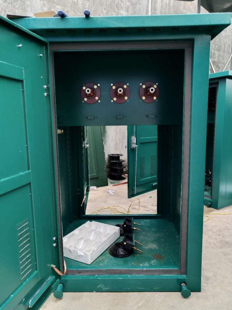 【电缆分支箱】河南光伏发电用电缆分支箱一进两出带避雷器