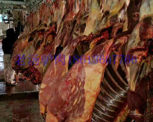 供應(yīng)馬肉帶皮馬肉熟馬肉