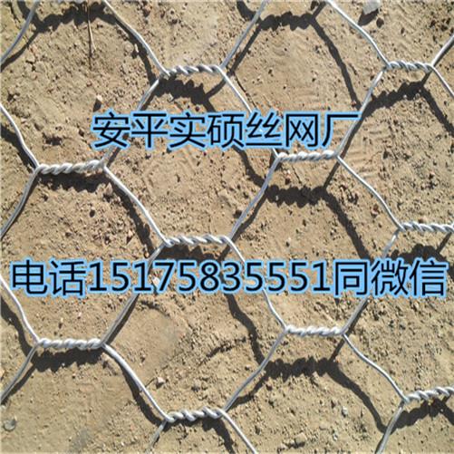 實(shí)碩可定制防護(hù)石籠網(wǎng)工程防洪隔離鍍鋅石籠網(wǎng)護(hù)坡