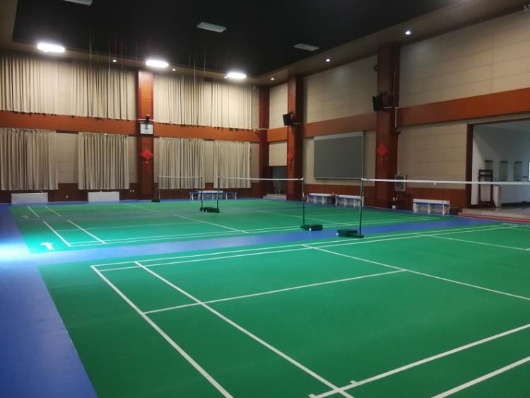 室內羽毛球館專用地膠 質保五年