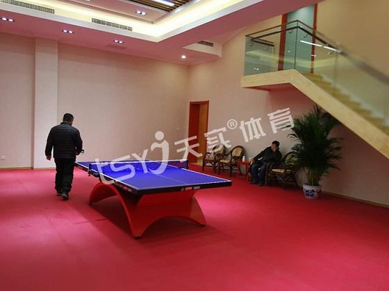 乒乓球運動地膠 適合室內(nèi)乒乓球