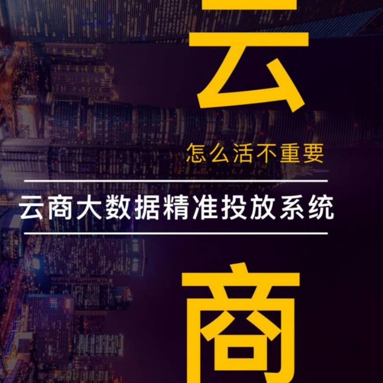 云商集團推出云字號大數(shù)據投放推廣系統(tǒng)