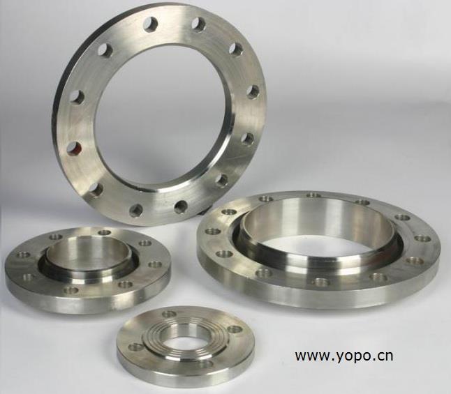 廈門 廠家直銷 富蘭克林 食品級304不銹鋼 DN100法蘭