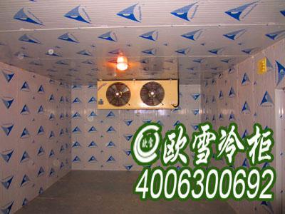 工程安裝找歐雪定制冷庫