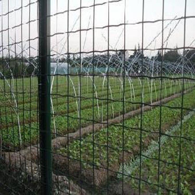 葡萄种植防护网A茅箭葡萄种植防护网A葡萄种植防护网