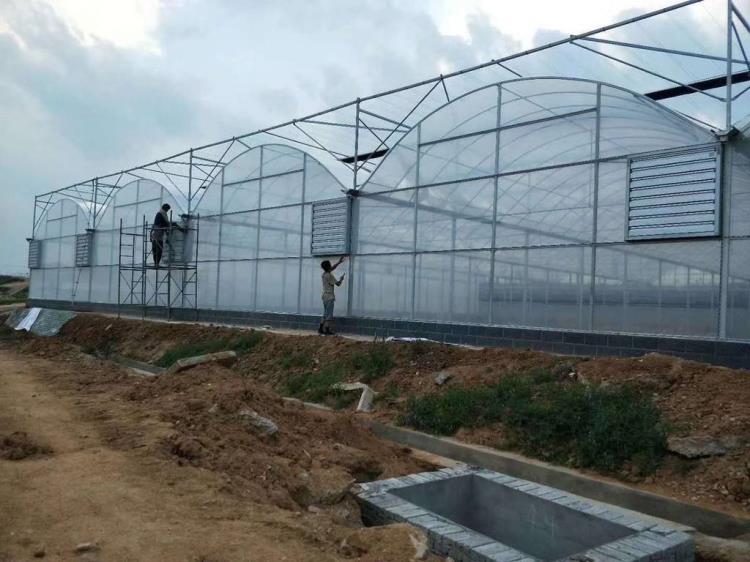 連棟溫室溫室工程設(shè)計(jì)建造薄膜溫室設(shè)計(jì)廠家青州市五豐溫室工程