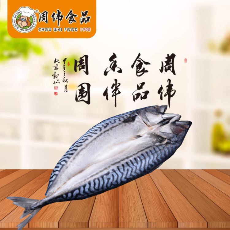 挪威冷凍鮐魚片 青花魚片貨源廠家-周偉食品