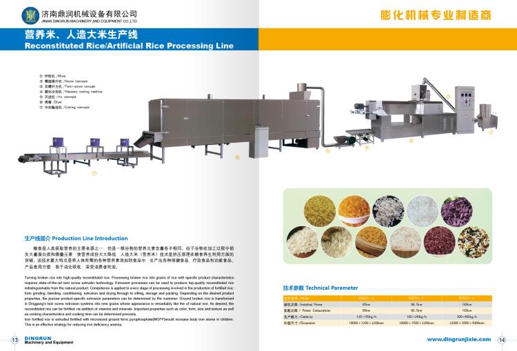 济南鼎润DSE营养米食品生产线