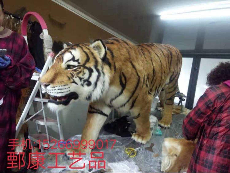 野生動物科普展館仿真老虎模型標本定制樣品圖片