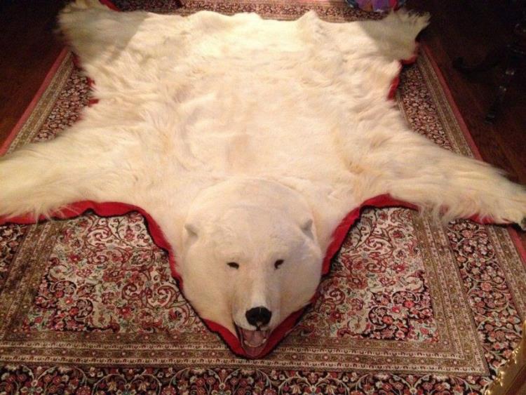 【仿真北极熊皮】别墅装饰仿真北极熊皮样品图片展示