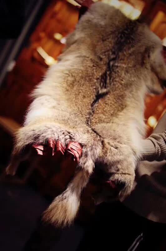 【仿真北极熊皮】别墅装饰仿真北极熊皮样品图片展示