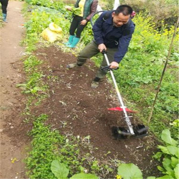 華盛BG431背負(fù)式割草機(jī)割灌機(jī)果園除草機(jī)