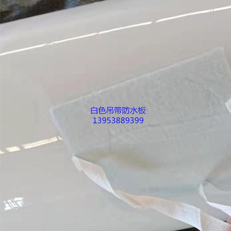 安徽EVA防水板 1.2mm隧道防水板 吊帶防水板規(guī)格