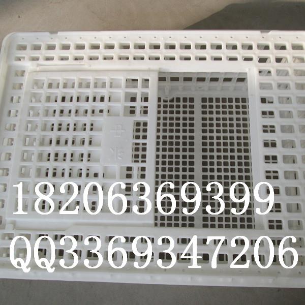 福德中兴塑料鸭筐淘汰鸭运输筐成鸡成鸭周转箱