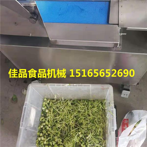 大型食堂多功能切菜機 芹菜香菜切菜機 胡蘿卜切丁機