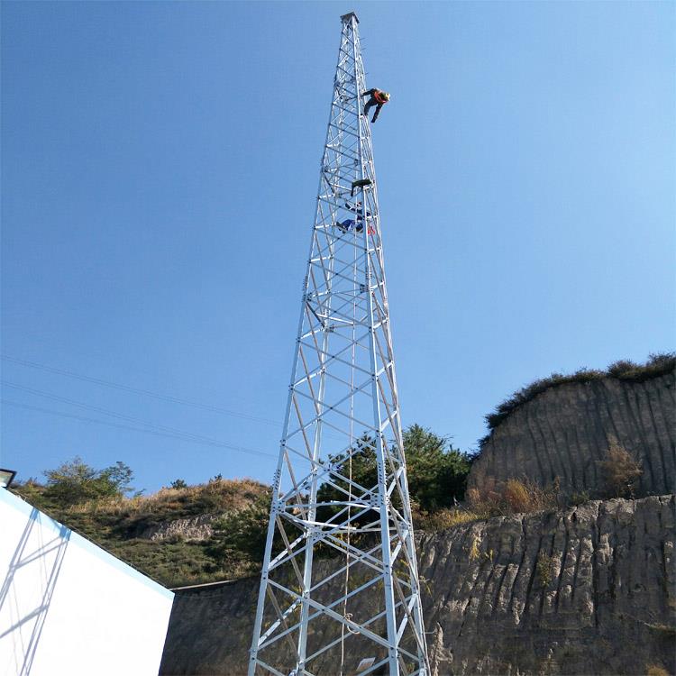 鑫华鑫避雷塔生产厂家 避雷塔公司 避雷塔制作安装