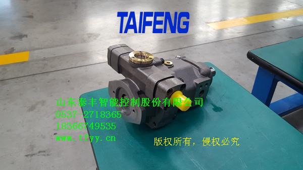 廣東TFB1V80Y工業機械高壓柱塞泵
