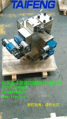 批量供應(yīng)插裝閥YN32-315HGBCV閥組山東泰豐品牌