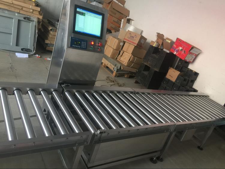 湖北動力電子滾筒稱廠家