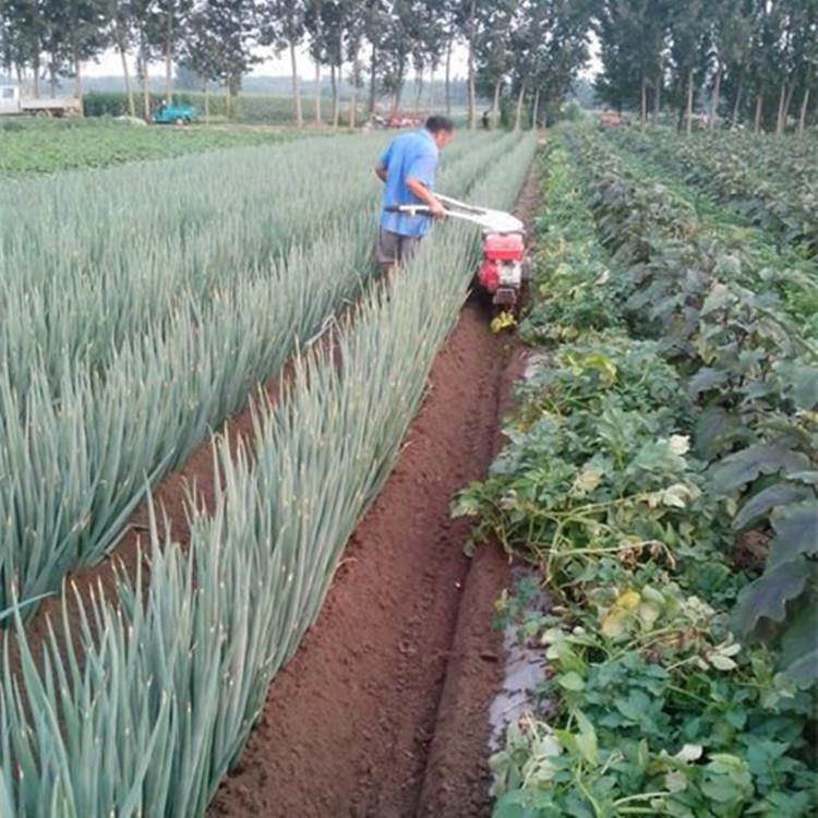 大葱开沟培土机生姜草莓种植开沟家用多功能开沟机