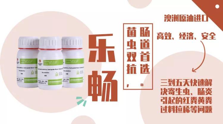 桉樹精油樂暢輸卵管炎腸炎球蟲綠色用藥