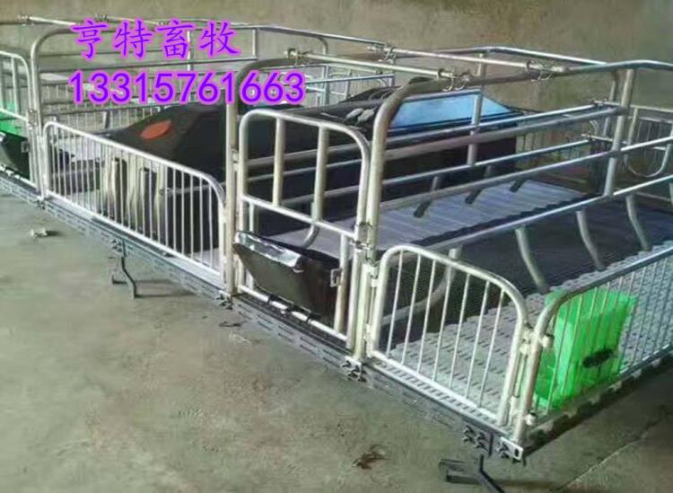 供應熱鍍鋅鑄鐵母豬產床老母豬下崽床質優價廉