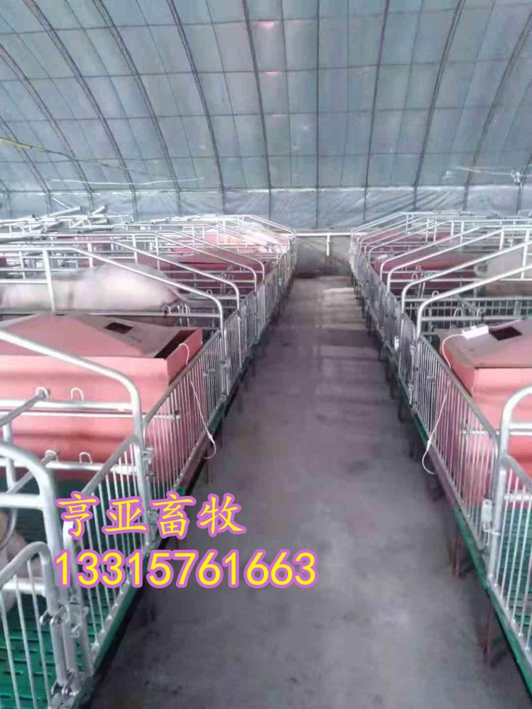 天津供應(yīng)整體復(fù)合雙體母豬產(chǎn)床熱鍍鋅管焊接永不生銹
