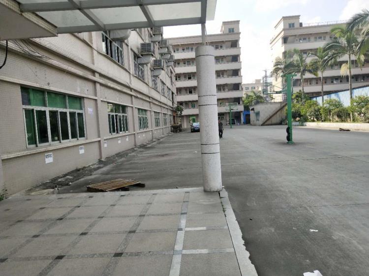 找廠房先收藏橫瀝獨(dú)院4050平方橫瀝廠房出租
