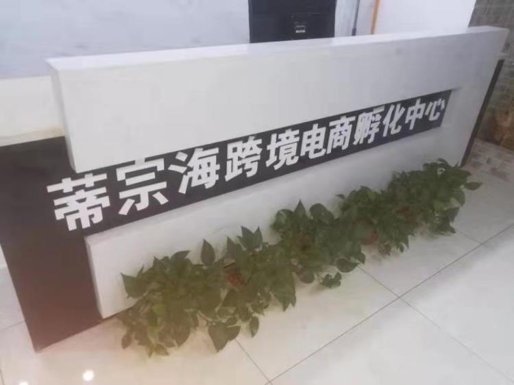 你加入蒂宗海学跨境电商了么