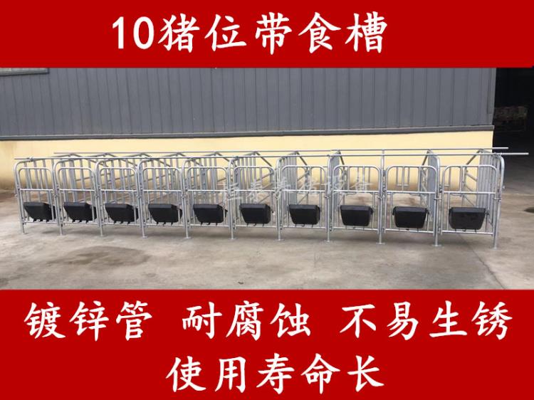 河北定位欄 豬用限位欄10豬位保育欄 生產(chǎn)廠家