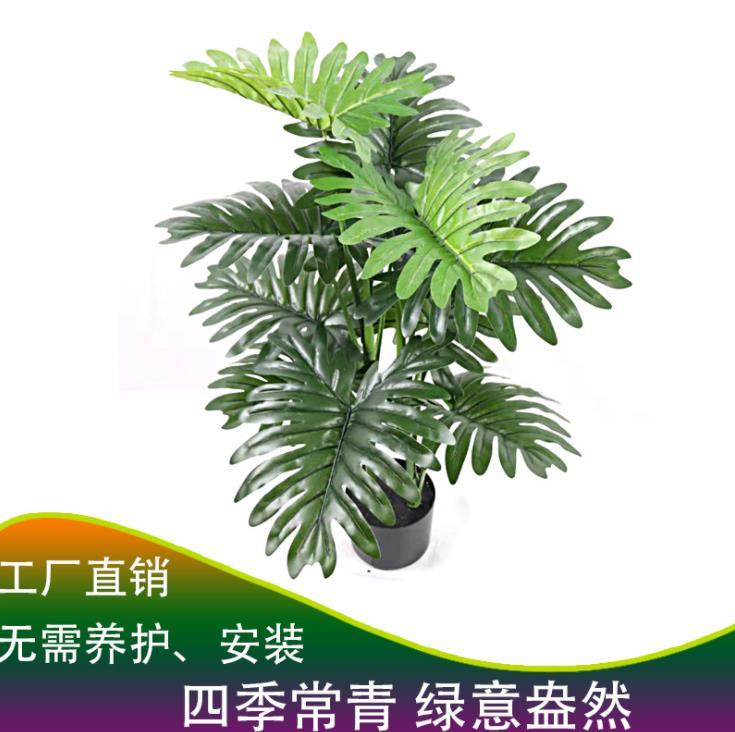 仿真盆栽春芋假綠植盆景室內(nèi)