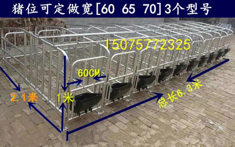 母豬限位欄 豬用定位欄 新型養(yǎng)豬設(shè)備廠家直銷