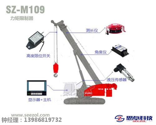 汽车吊力矩限制器