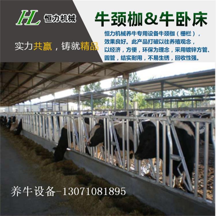 恒力牌6米8位熱鍍鋅自鎖式牛頸枷