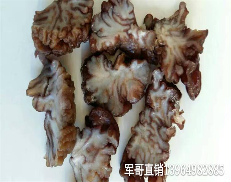 玛卡菌玛咖菌特色食材食用菌有机产品机动地直邮玛卡菌