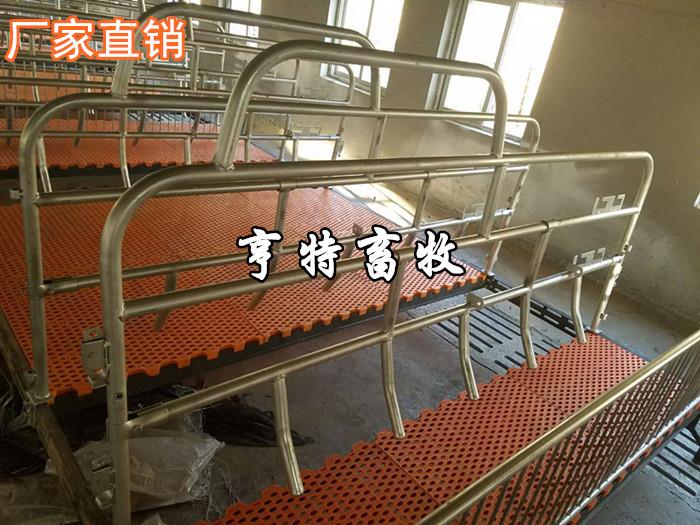 養豬設備豬用產床雙體母豬產床亨特廠家直銷現貨供應
