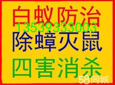 南海区盐步白蚁防治杀虫灭蚊灭臭虫灭跳蚤灭白蚁灭虫害