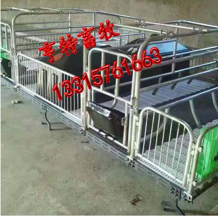 濱州養(yǎng)豬設(shè)備母豬產(chǎn)床豬用雙體產(chǎn)床帶有母豬鋼板食槽
