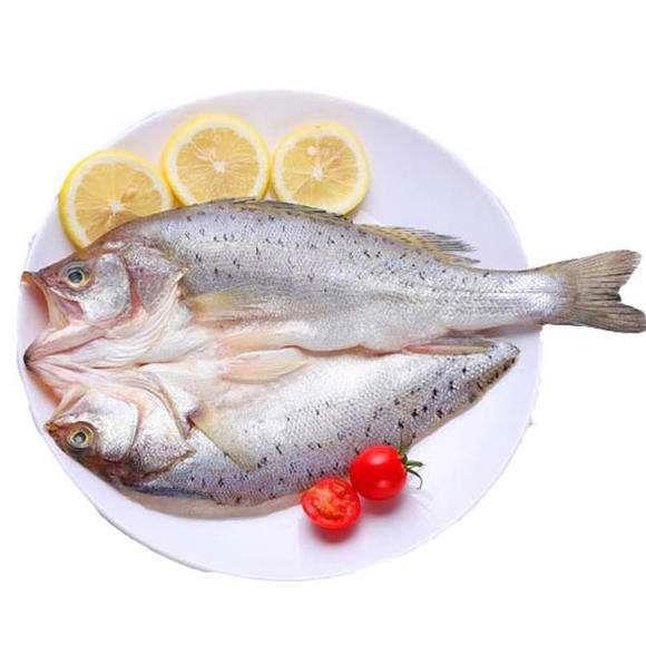 【速冻锁鲜开背海鲈鱼】金孖宝 速冻锁鲜开背海鲈鱼 量大可面议