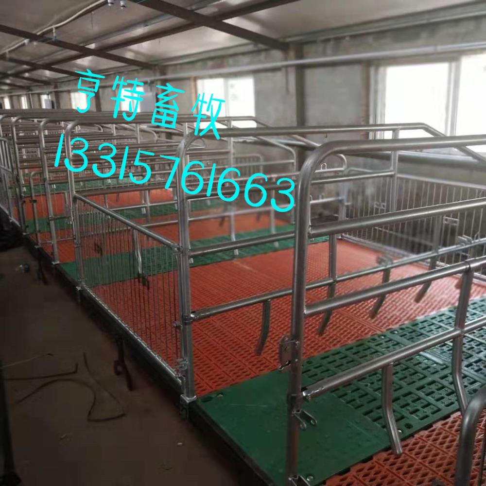 復合雙體母豬產床母豬位復合板小豬位加筋塑料板遼養豬設備