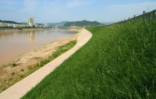 湖南生態護坡就找沃土環保科技
