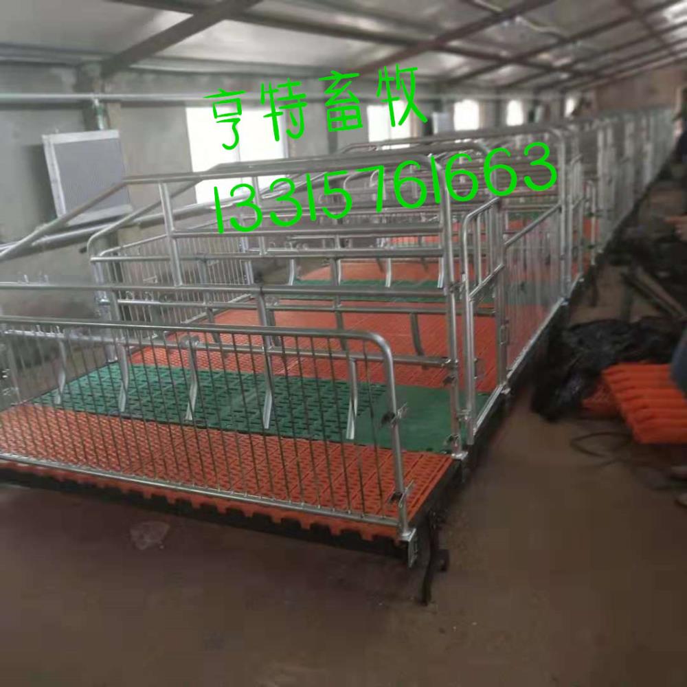 進賢養豬設備供應雙體母豬產床豬用熱鍍鋅雙體復合產床廠家發貨
