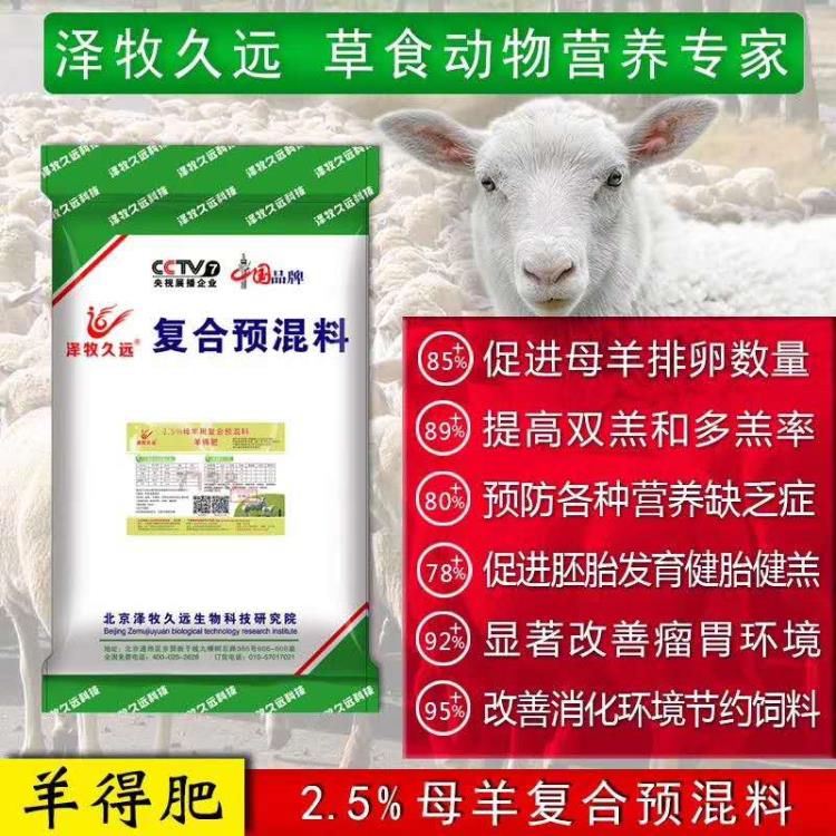 母羊zen樣養(yǎng)才能xiao益 母羊飼料