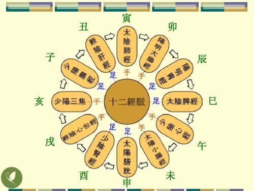 【弗絡爾水療機】弗絡爾水療機 經絡的二十四小時養生