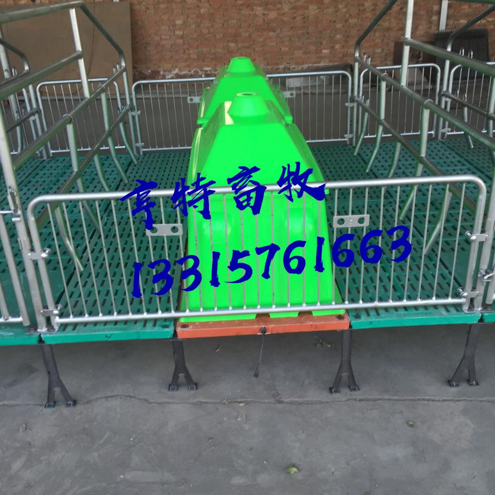 商丘豬舍專用雙體半復合母豬產床塑料保溫箱鑄鐵梁杠腿