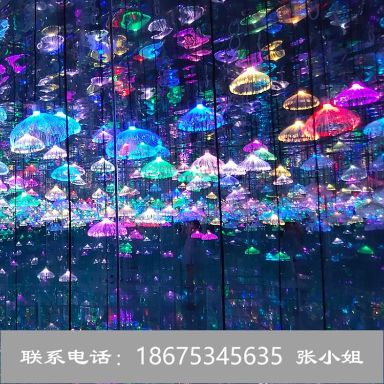 光纖水母吊燈失戀博物館led蘆葦燈鉆石星空燈呼吸燈廠家