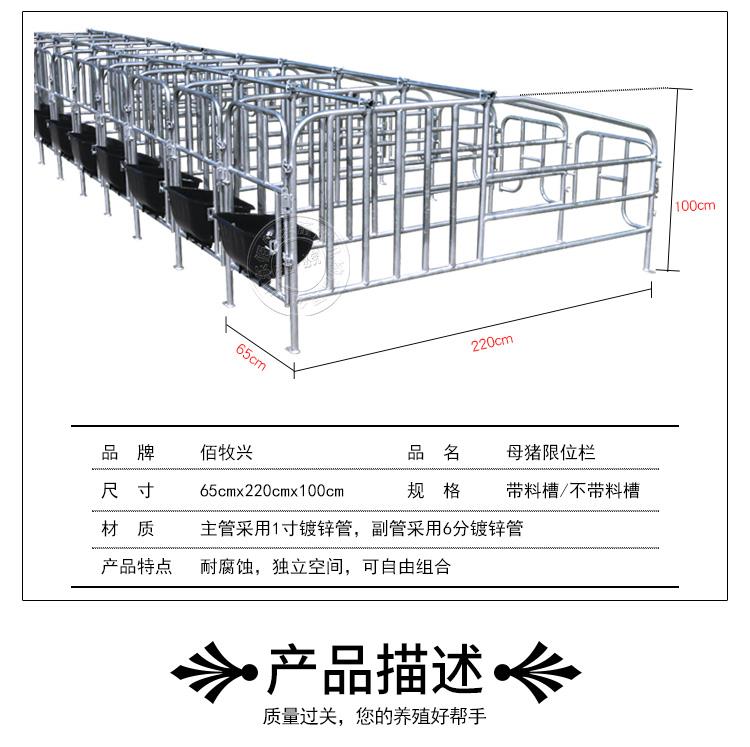 母豬限位欄定位欄尺寸母豬定位欄廠家直銷母豬單體欄