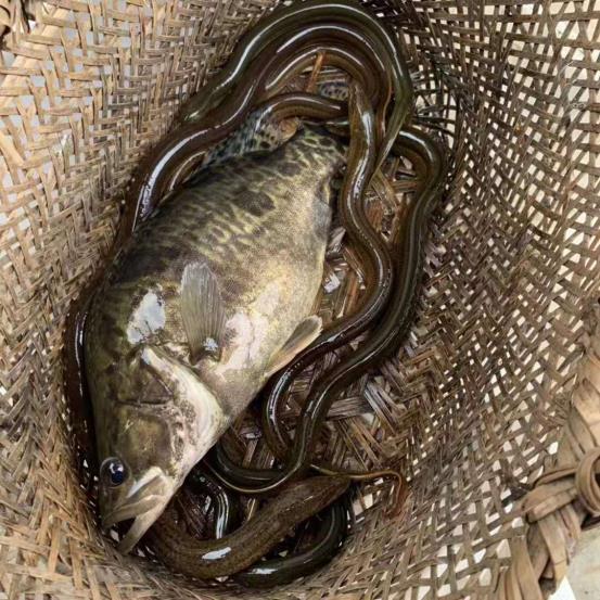 上海釣魚地方