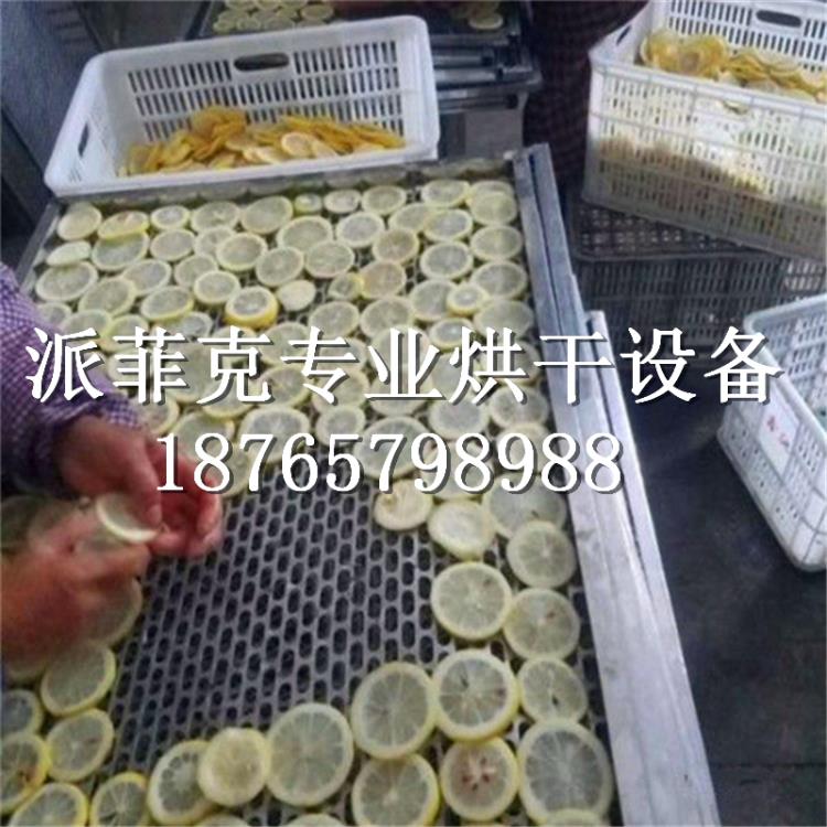 檸檬片高溫除濕熱泵烘干機