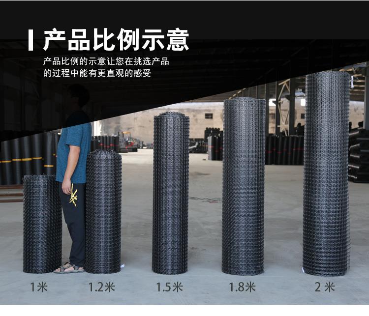 單向公路塑料格柵A蕪湖單向公路塑料格柵廠家批發(fā)